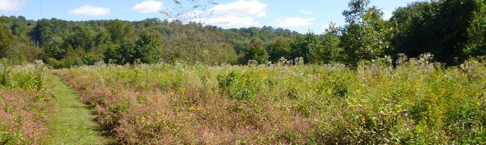 Lower Muskingum Conservancy