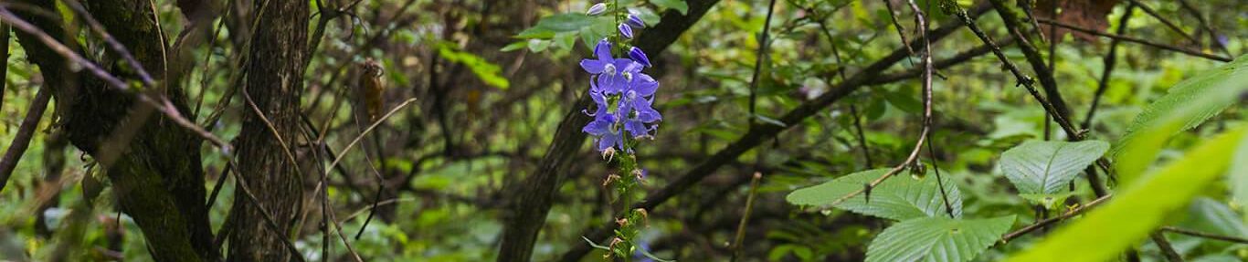 Lower Muskingum Conservancy